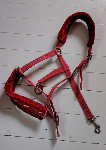 SECOND HAND punainen riimu, full