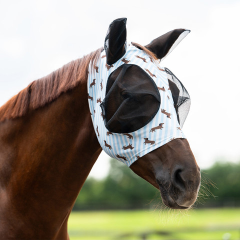 QHP Ötökkähuppu Super Bug Stable Buddy