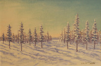 Maisema Pohjois-Karjalasta, MPK18
