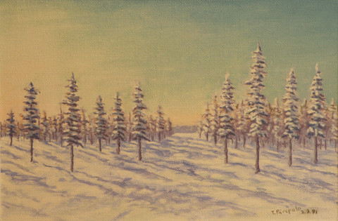 Maisema Pohjois-Karjalasta, MPK18