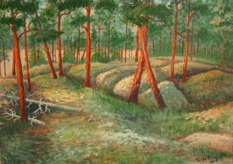 Killingholmin taikametsä, KHT42