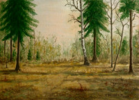 Morning in the autumn forest, ASM51