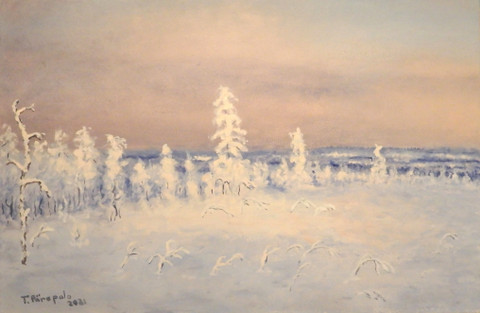 Mönni-Alavi 3, MNA63