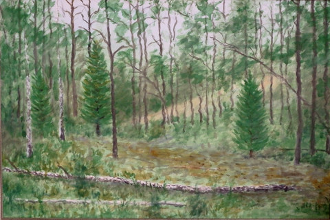 Metsä Järnössä, MJN66