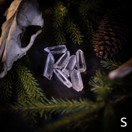 Lemurian siemenkristalli, eri kokoja