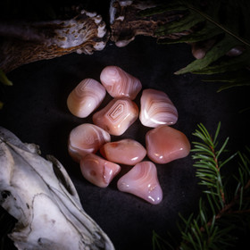 Aprikoosiakaatti, rumpuhiottu