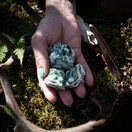 Puuakaatti, raakapala