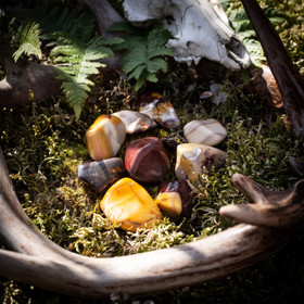 Mokaiitti Jaspis (Mookaite), rumpuhiottu