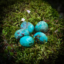 Krysokolla, rumpuhiottu