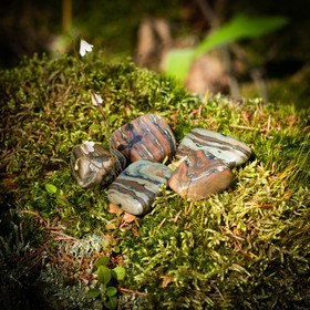 Tuffiitti, rumpuhiottu