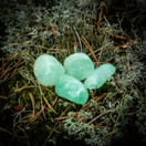 Prehniitti, rumpuhiottu