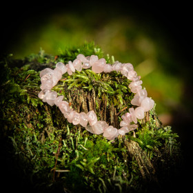 Rannekoru, ruusukvartsi-siru