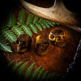 Tiikerinsilmä kallo