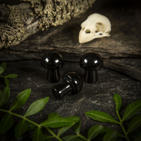 Musta obsidiaani -sieni