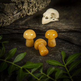 Keltainen aventuriini -sieni