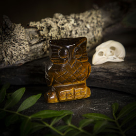 Tiikerinsilmä-pöllö