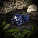 Sodaliitti-kilpikonna