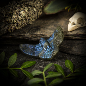 Labradoriitti-kaiverrus, pöllö