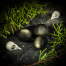 Kultaobsidiaani, rumpuhiottu