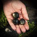 Kultaobsidiaani, rumpuhiottu