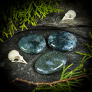 Sammalakaatti-kämmenkivi