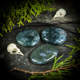 Sammalakaatti-kämmenkivi