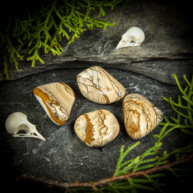 Maisemajaspis, rumpuhiottu