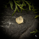 Libyan aavikkolasi, raakapala