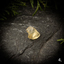 Libyan aavikkolasi, raakapala