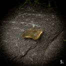 Libyan aavikkolasi, raakapala