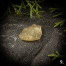 Libyan aavikkolasi, raakapala