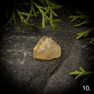 Libyan aavikkolasi, raakapala