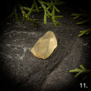 Libyan aavikkolasi, raakapala