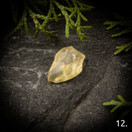 Libyan aavikkolasi, raakapala