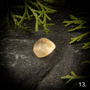 Libyan aavikkolasi, raakapala