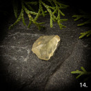 Libyan aavikkolasi, raakapala