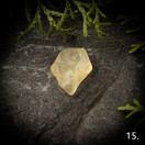 Libyan aavikkolasi, raakapala