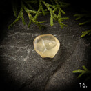 Libyan aavikkolasi, raakapala