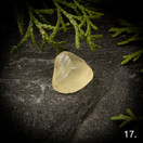 Libyan aavikkolasi, raakapala