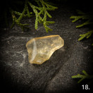 Libyan aavikkolasi, raakapala