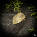 Libyan aavikkolasi, raakapala