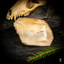 Puutarhakvartsi (lodoliitti) freeform