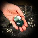 Sammalakaatti, rumpuhiottu