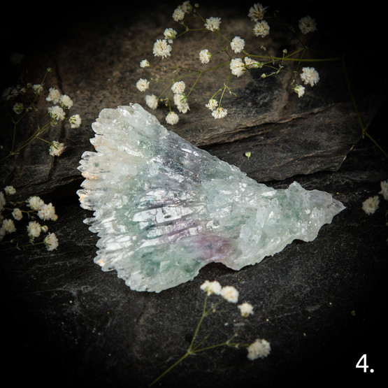 Ametistiruusu