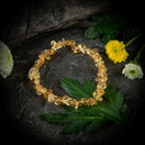 Rannekoru, sitriini-siru