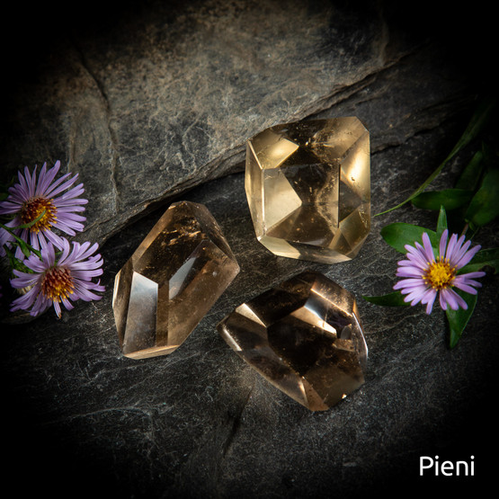 Savukvartsi-freeform