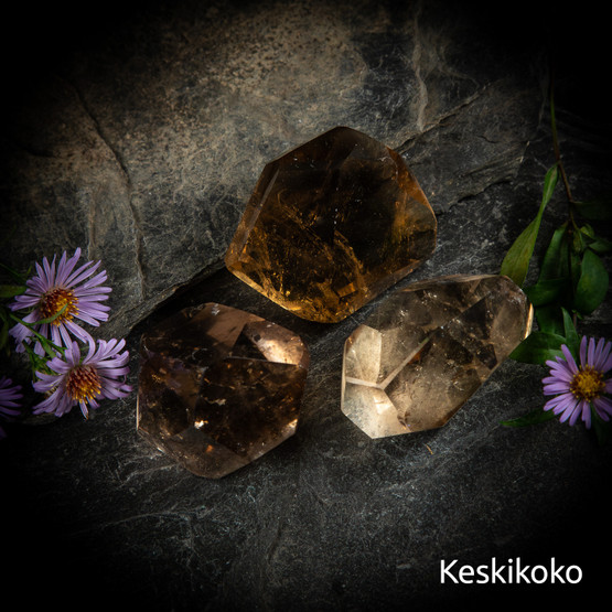 Savukvartsi-freeform