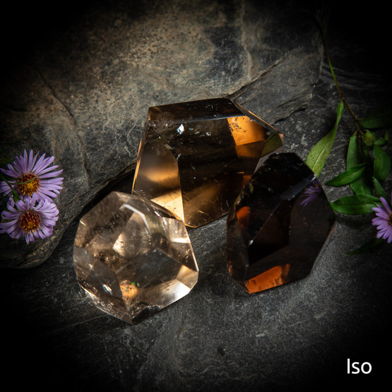 Savukvartsi-freeform