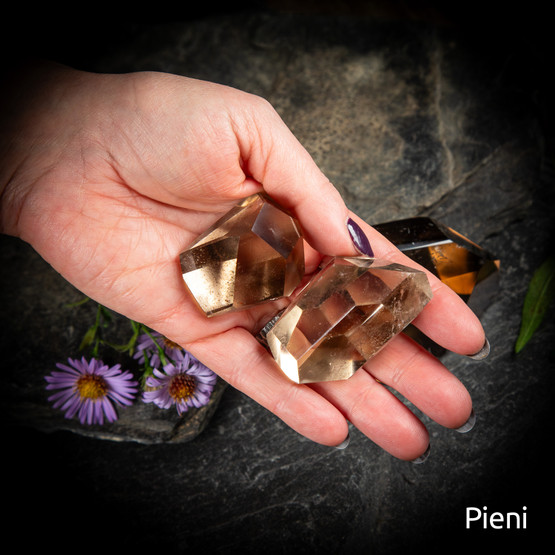 Savukvartsi-freeform