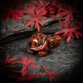 Mahonkiobsidiaani-kilpikonna